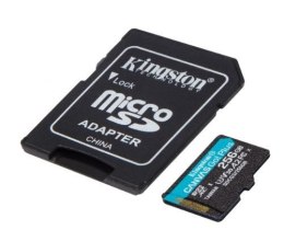 Karta microSD 256GB Canvas Go Plus 170/90MB/s Adapter